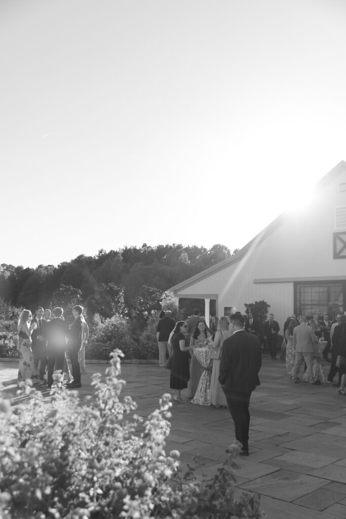 Susan Ly Photography