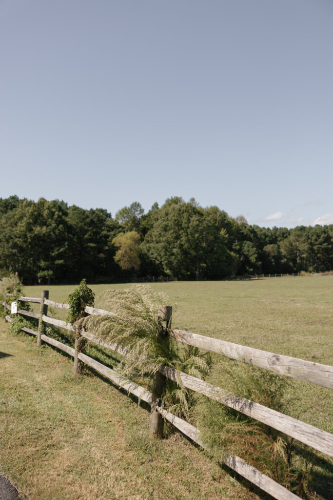 Susan Ly Photography