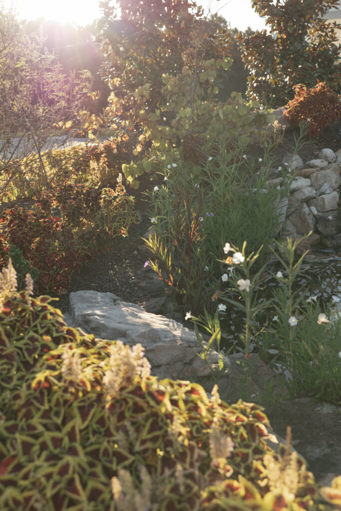 Susan Ly Photography