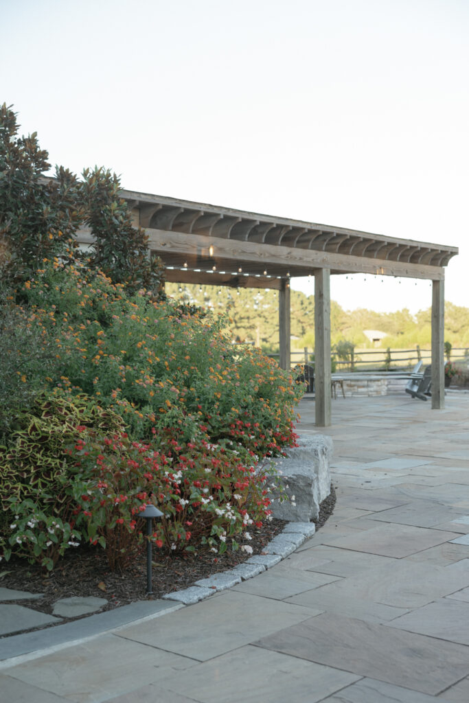 Susan Ly Photography